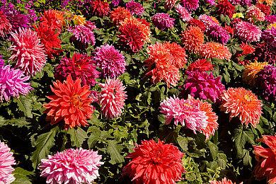 国产赛博朋克游戏《生死轮回》光追DLSS演示 画面酷炫